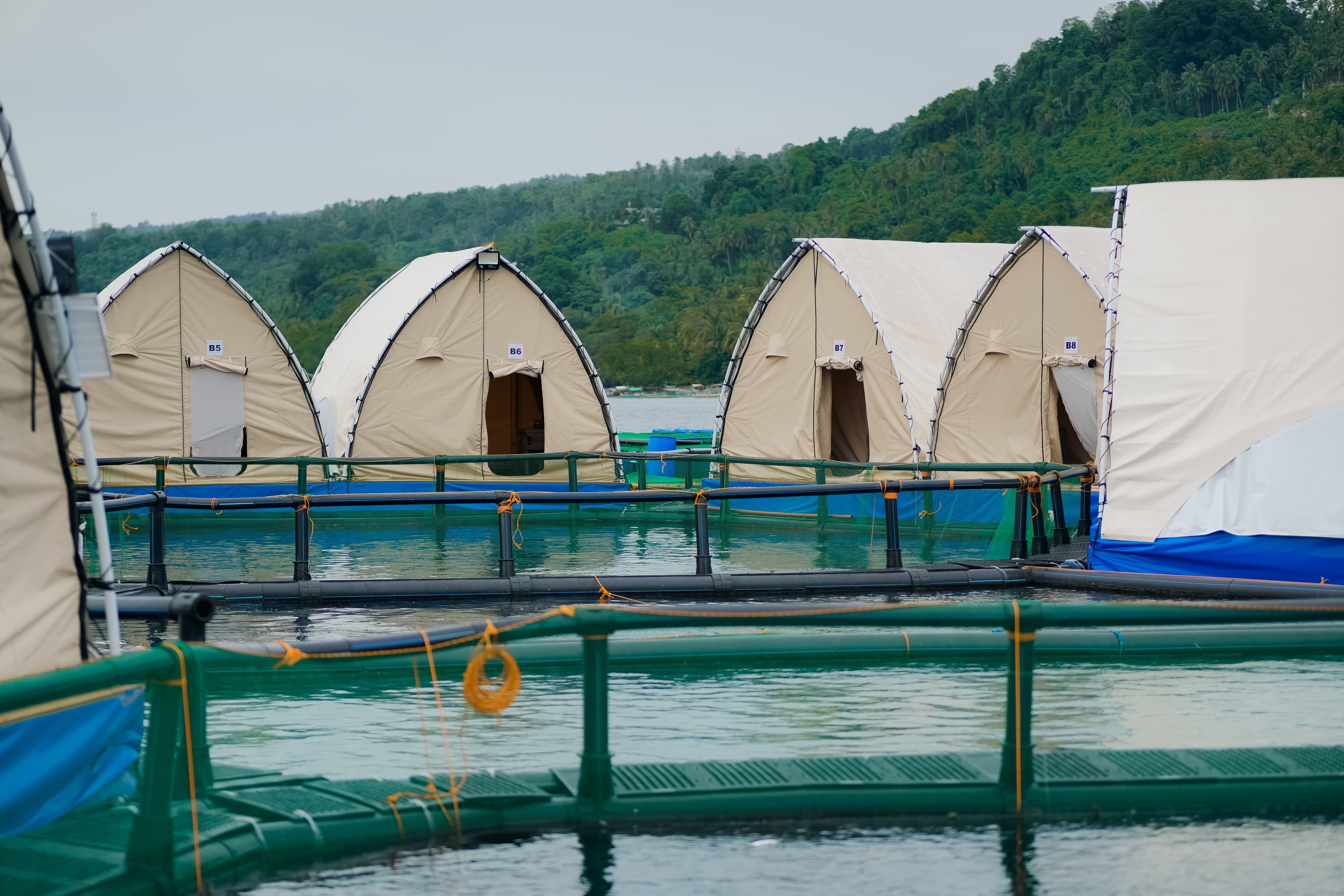 Glamp House - Image 6