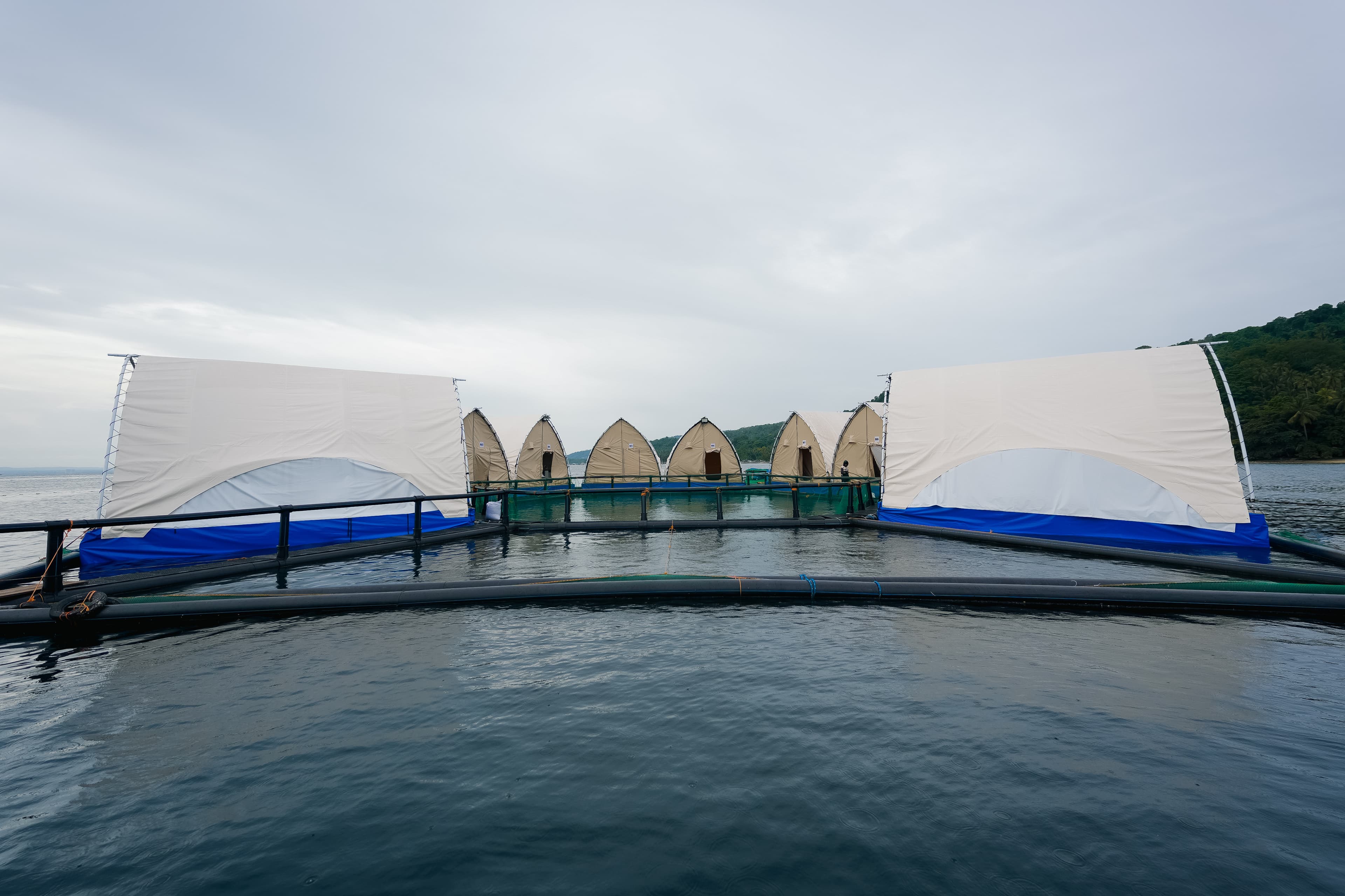 Glamp House - Image 7